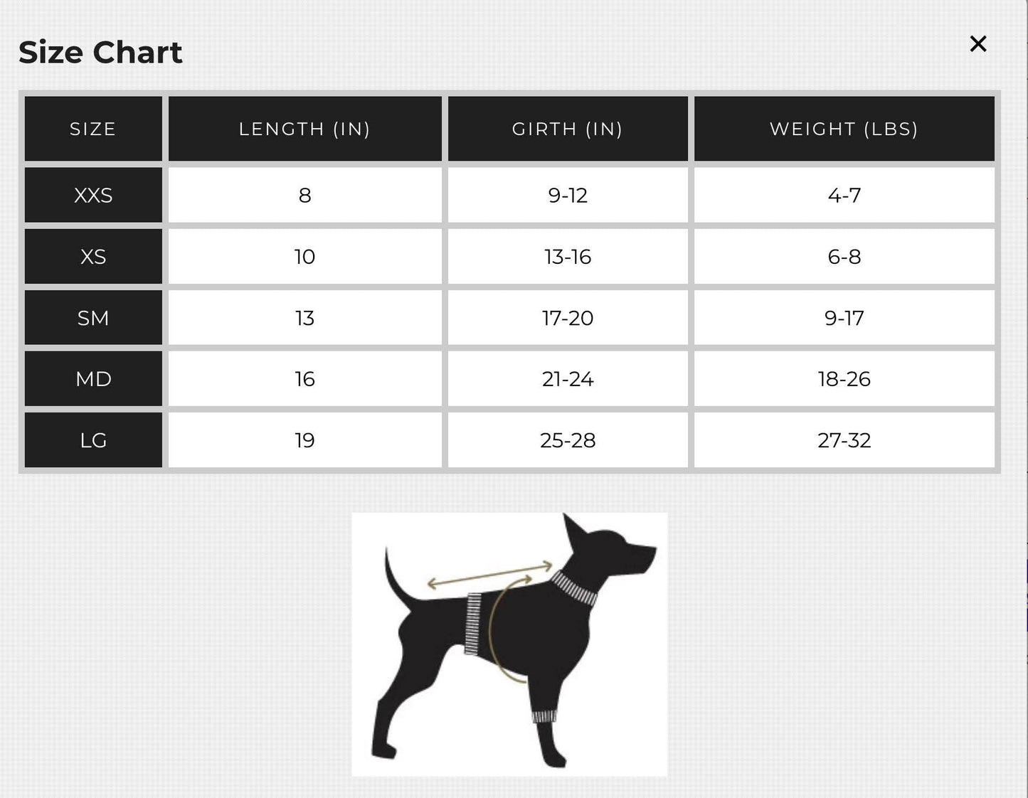 DCNY Sport Luxe Hooded Raincoat - My Best Pet Life, LLC