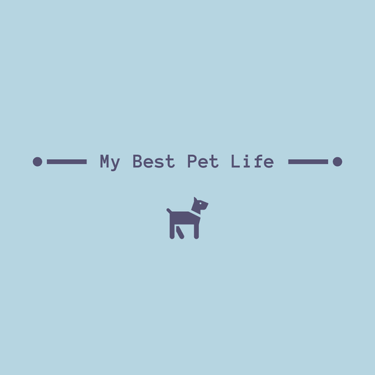 Dogs and losing weight... - My Best Pet Life