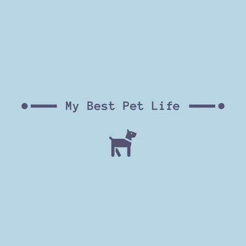 Walk the dog - My Best Pet Life