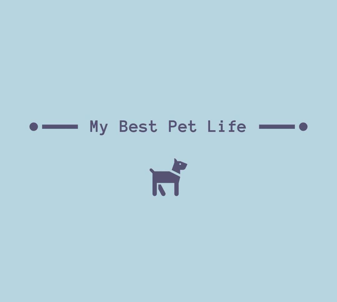 Thunderstorms & Pets! - My Best Pet Life