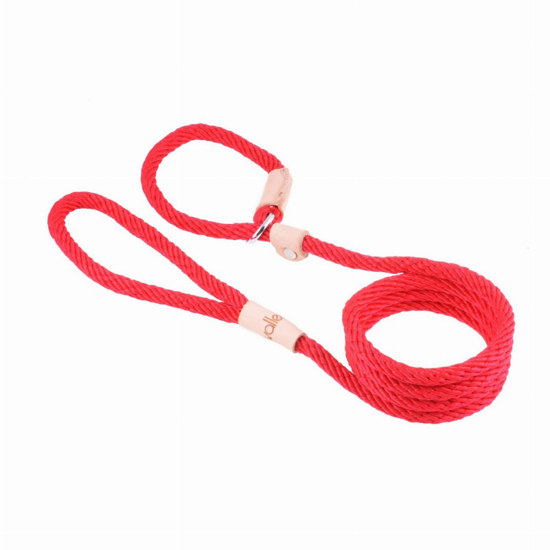 Sport Slip Lead With Stopper