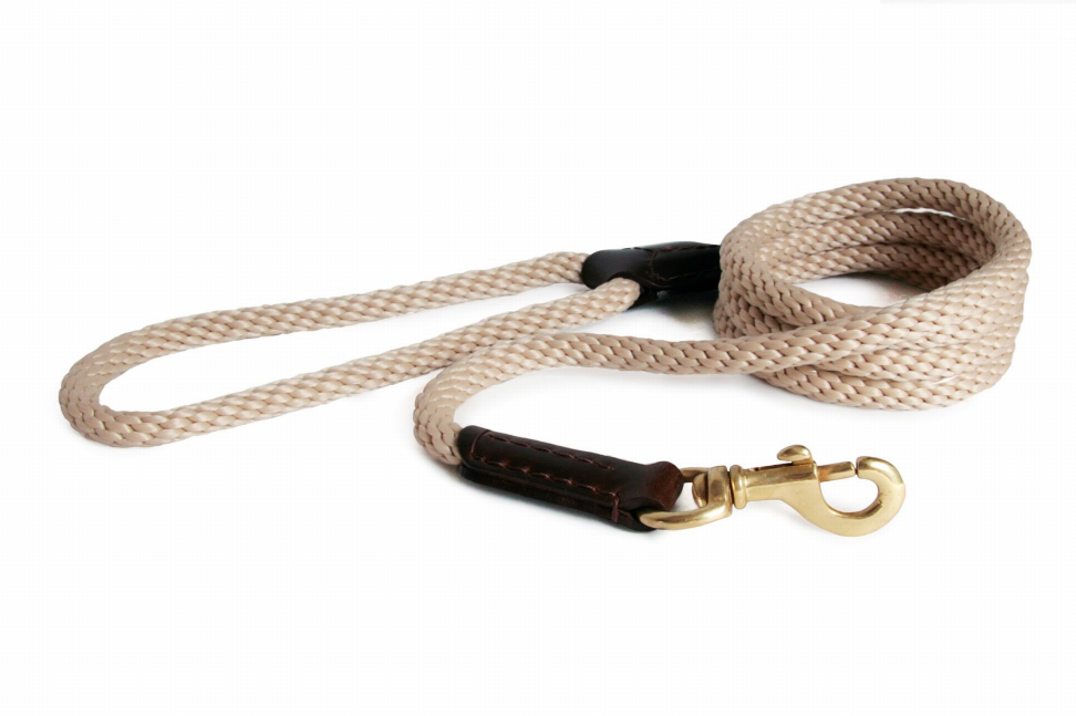 Rope and Leather Snap Lead