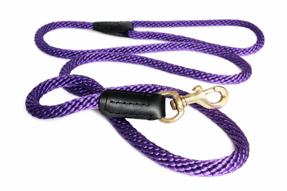 Rope and Leather Snap Lead