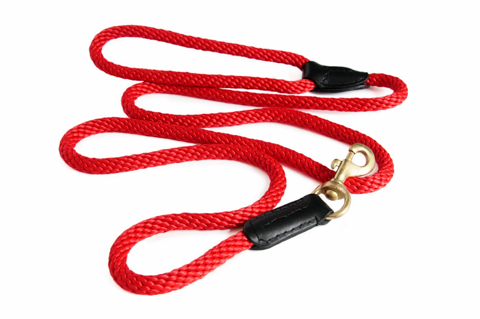 Rope and Leather Snap Lead