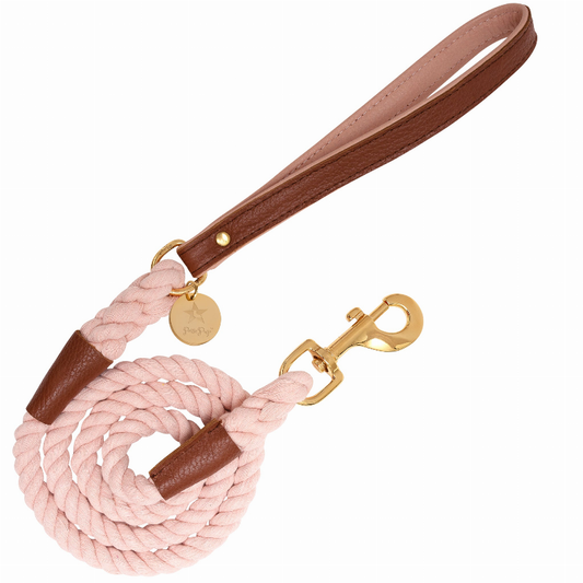 Dog Leash