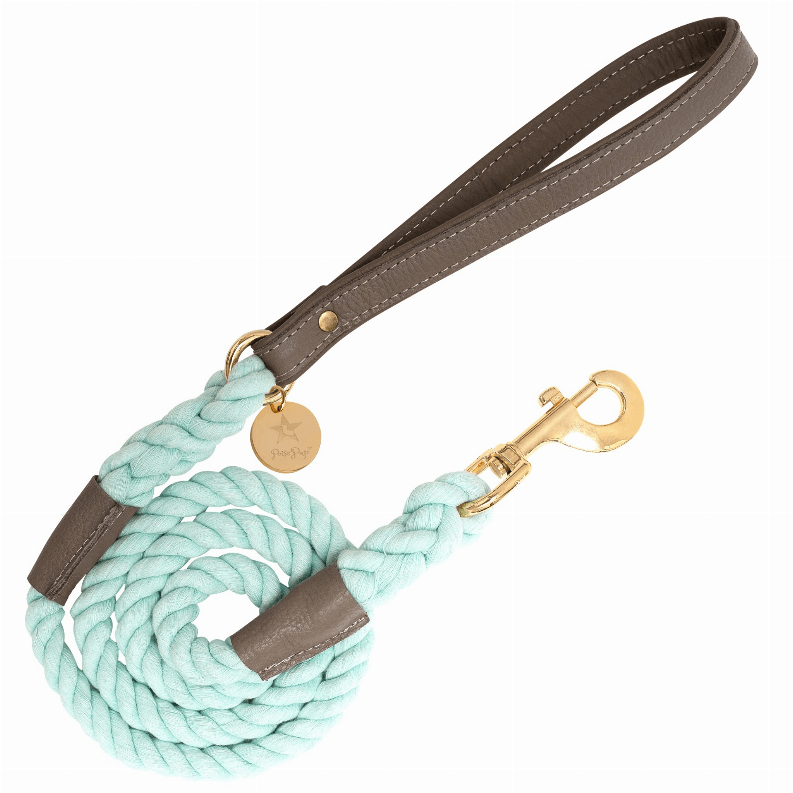 Dog Leash