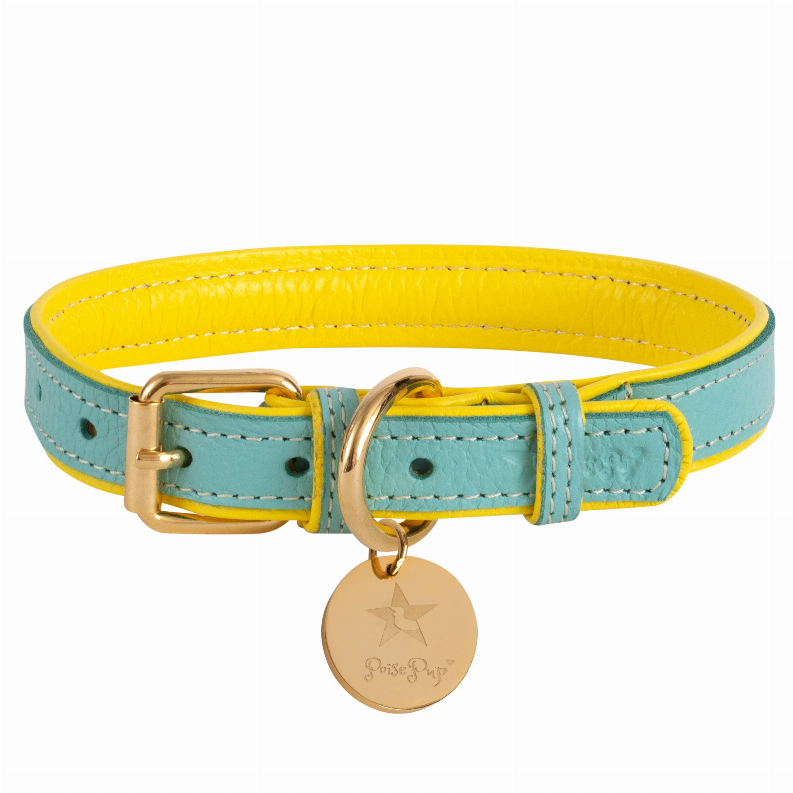 Dog Collar