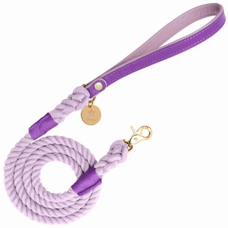 Dog Leash