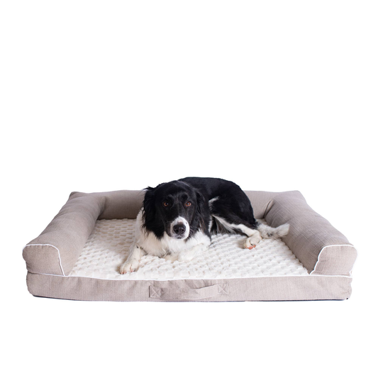 Medium Bolstered Pet Bed Cushion W Memory Foam