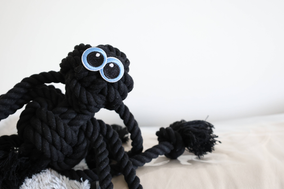 Black Spider Dog Handmade Rope Toys | Halloween Decorations