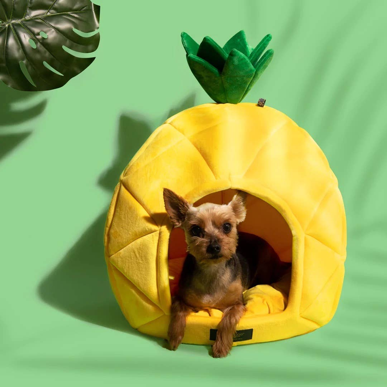 Pineapple Bed-LARGE