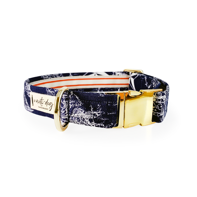 Carta Marina Navy Vintage Nautical Toile Buckle & Martingale Dog Collar