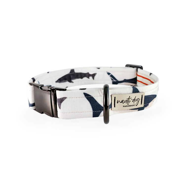 Shark! Buckle & Martingale Dog Collar