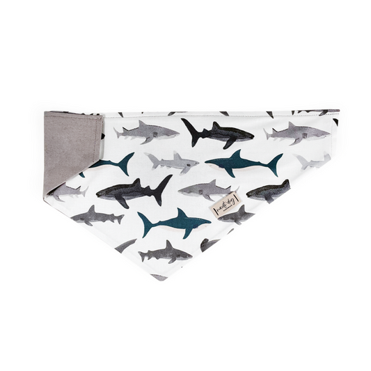 Shark! Over-the-collar Dog Bandana