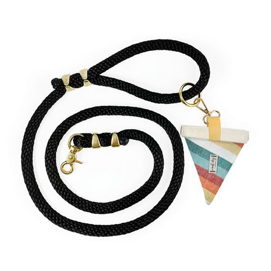 Sunset Retro-mod Stripe Premium Rope Dog Leash