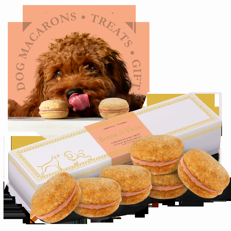 Dog Macarons - Box of 6 (Available in 12 Flavors)