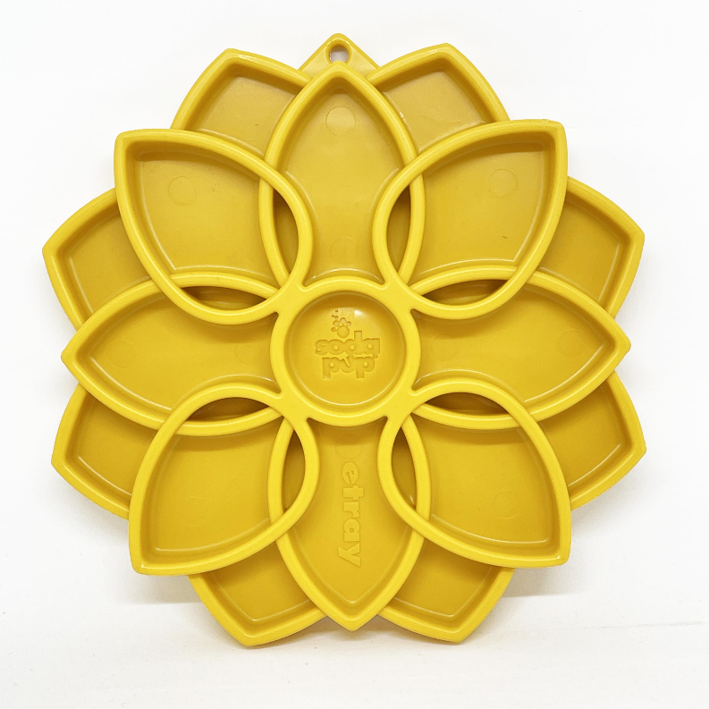 Mandala Design Enrichment Tray for Dogs