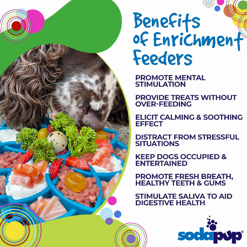 Mandala Design Enrichment Tray for Dogs