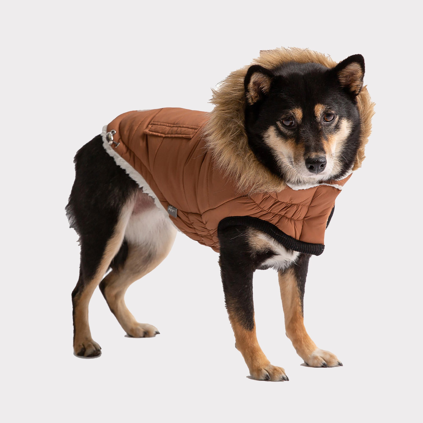 Pet ElastoFit Urban Dog Parka