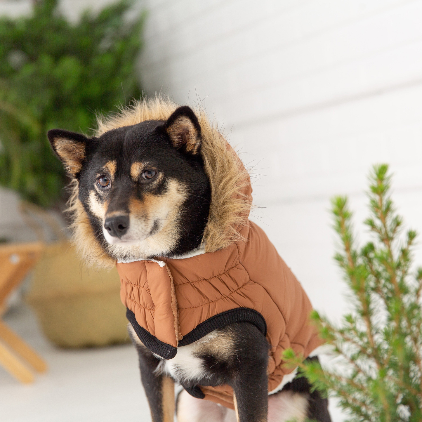 Pet ElastoFit Urban Dog Parka