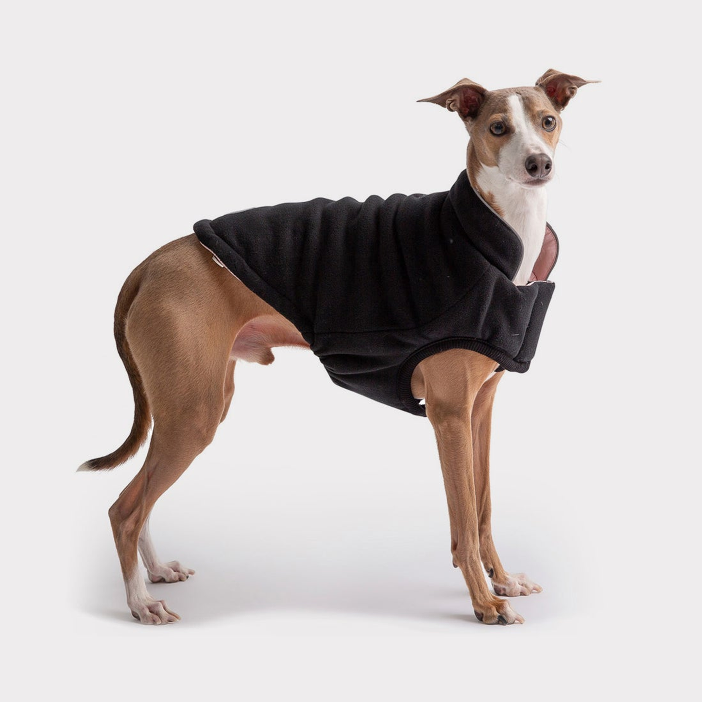 Pet Reversible Elasto-Fit Chalet Jacket