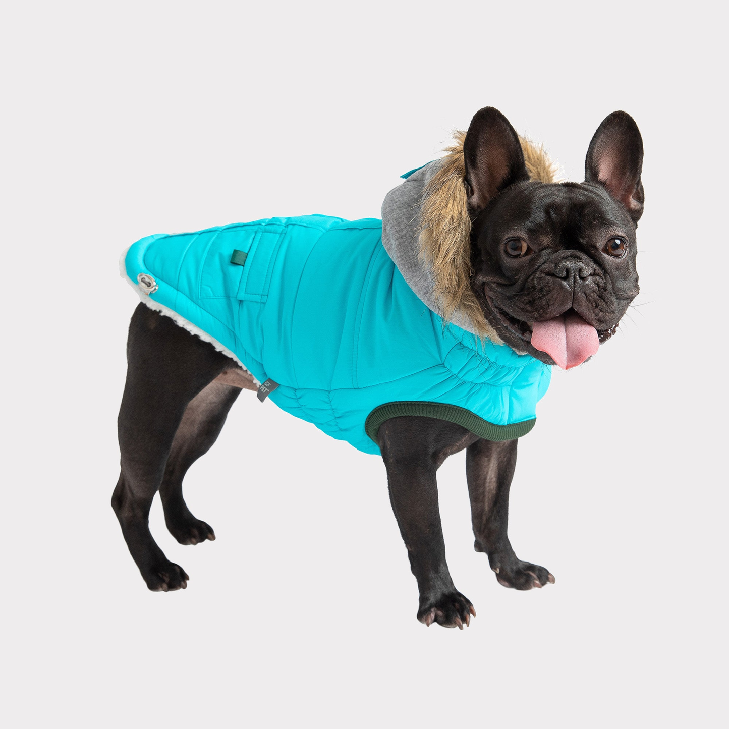 Pet  Winter Sailor Parka