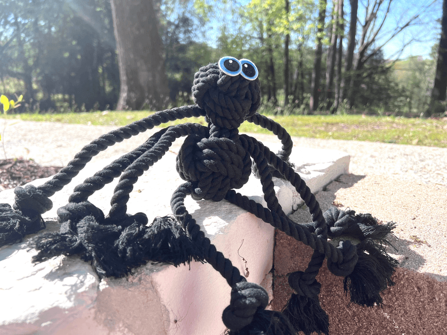 Black Spider Dog Handmade Rope Toys | Halloween Decorations - My Best Pet Life, LLC