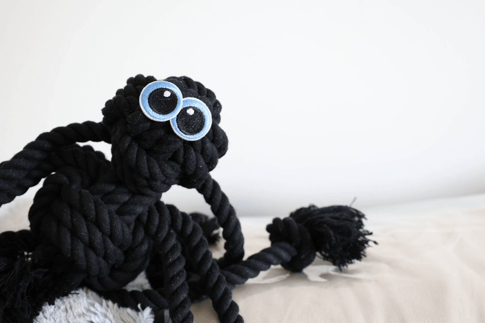 Black Spider Dog Handmade Rope Toys | Halloween Decorations - My Best Pet Life, LLC