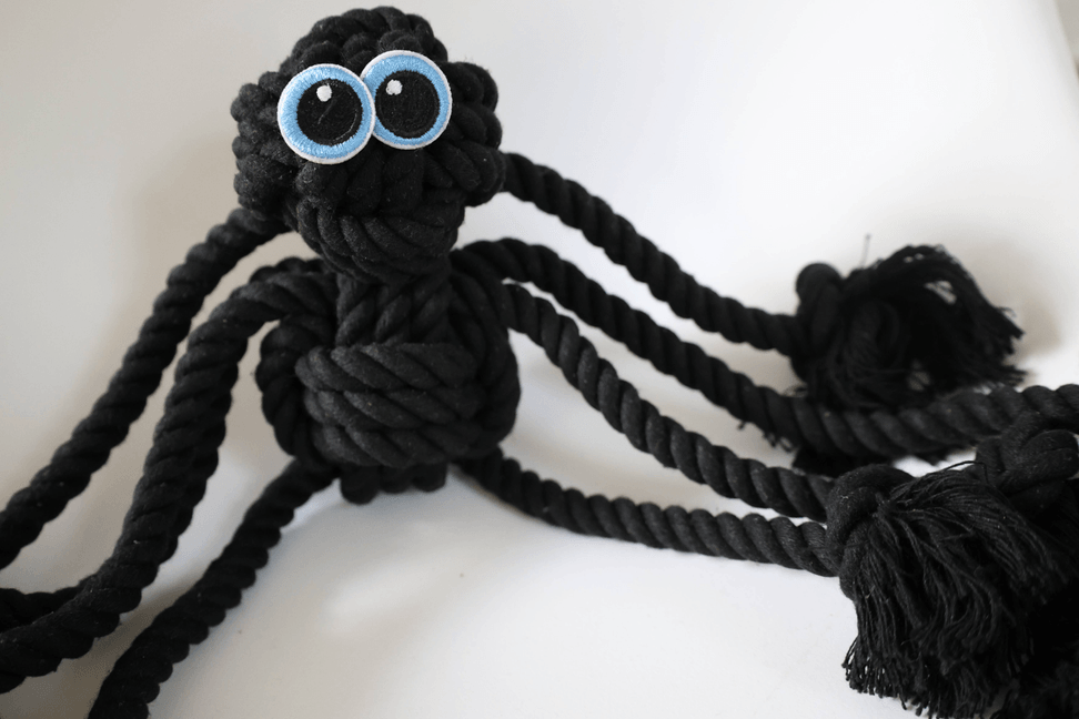 Black Spider Dog Handmade Rope Toys | Halloween Decorations - My Best Pet Life, LLC