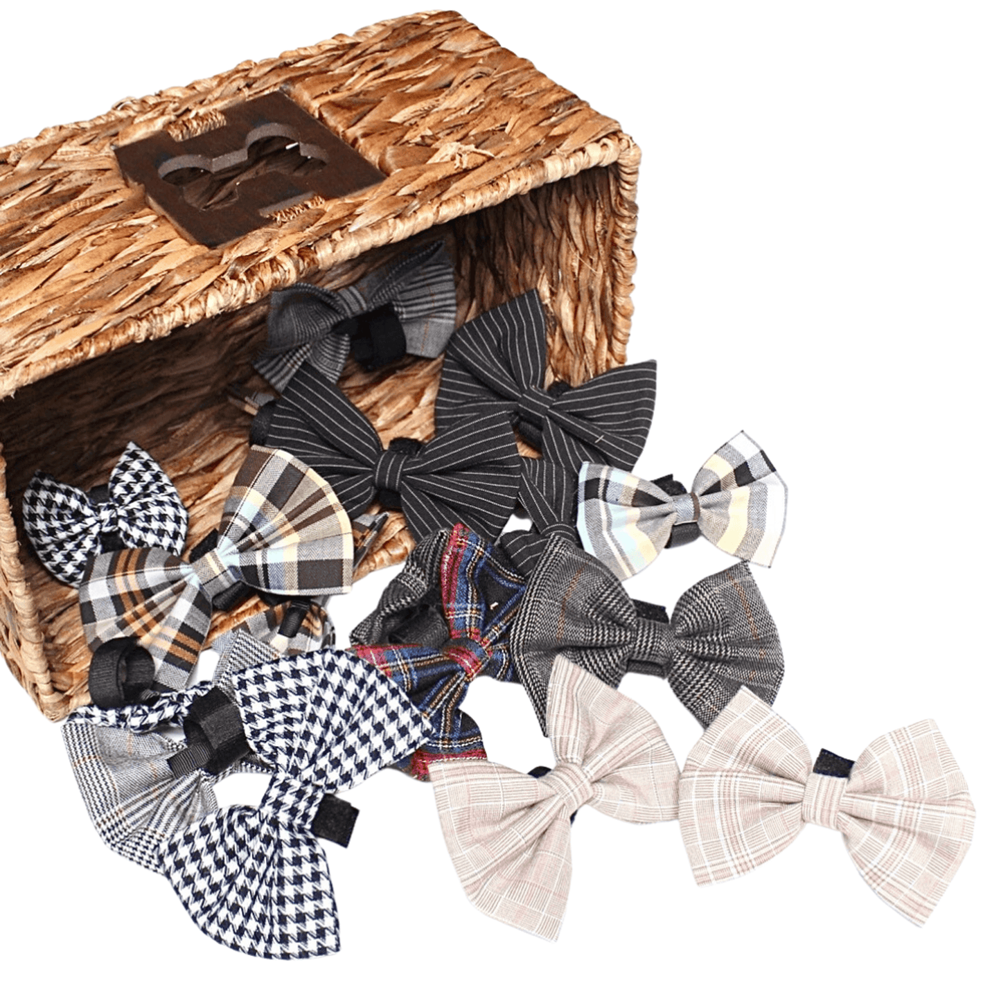 Boys Bowtie Budget Bundle|Pets Ribbons - My Best Pet Life, LLC