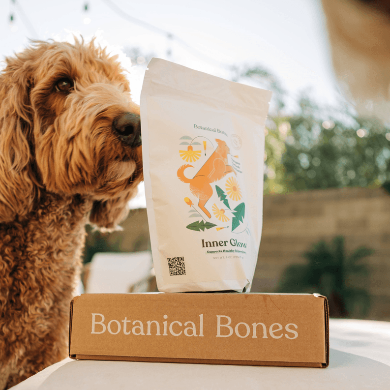 Bulk Treats - Superfood Dog Treat | Jar Refills - My Best Pet Life, LLC