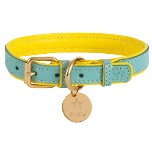 Dog Collar - My Best Pet Life, LLC