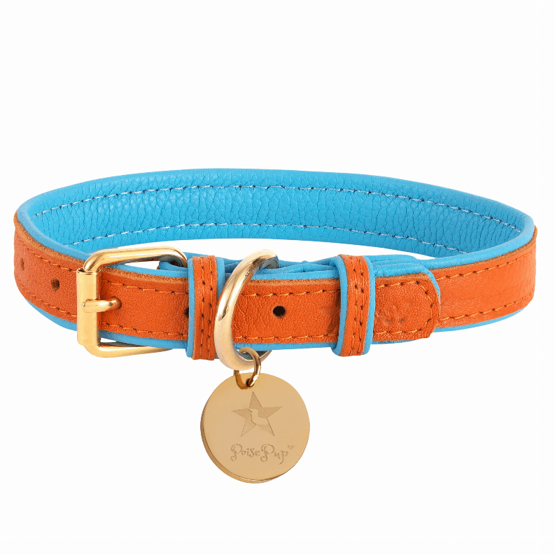 Dog Collar - My Best Pet Life, LLC