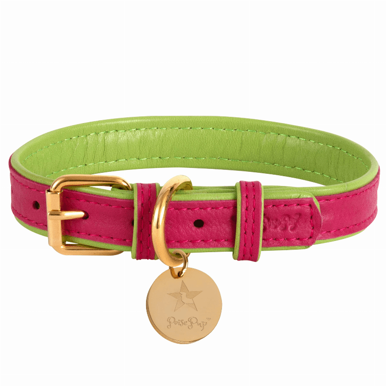 Dog Collar - My Best Pet Life, LLC