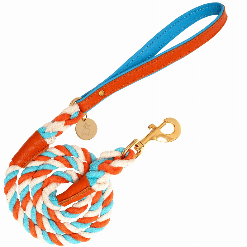 Dog Leash - My Best Pet Life, LLC