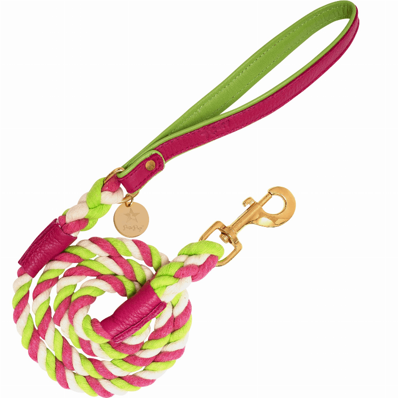 Dog Leash - My Best Pet Life, LLC