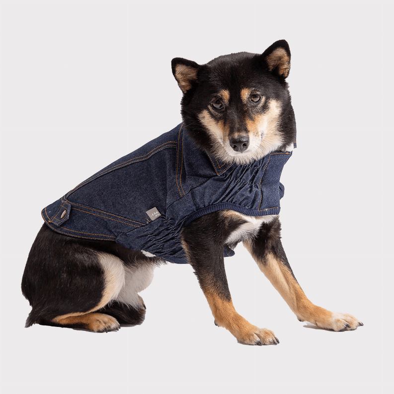 GF Pet Elasto-Fit Denim Dog Jacket - My Best Pet Life, LLC