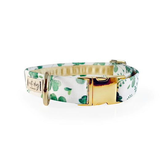Lucky Irish Four Leaf Clover St. Paddy's Day Shamrock Buckle & Martingale Dog Collar - Pack Of: 1 - My Best Pet Life, LLC