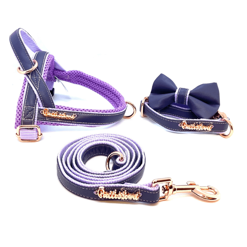 Orchid One-click dog harness - My Best Pet Life, LLC