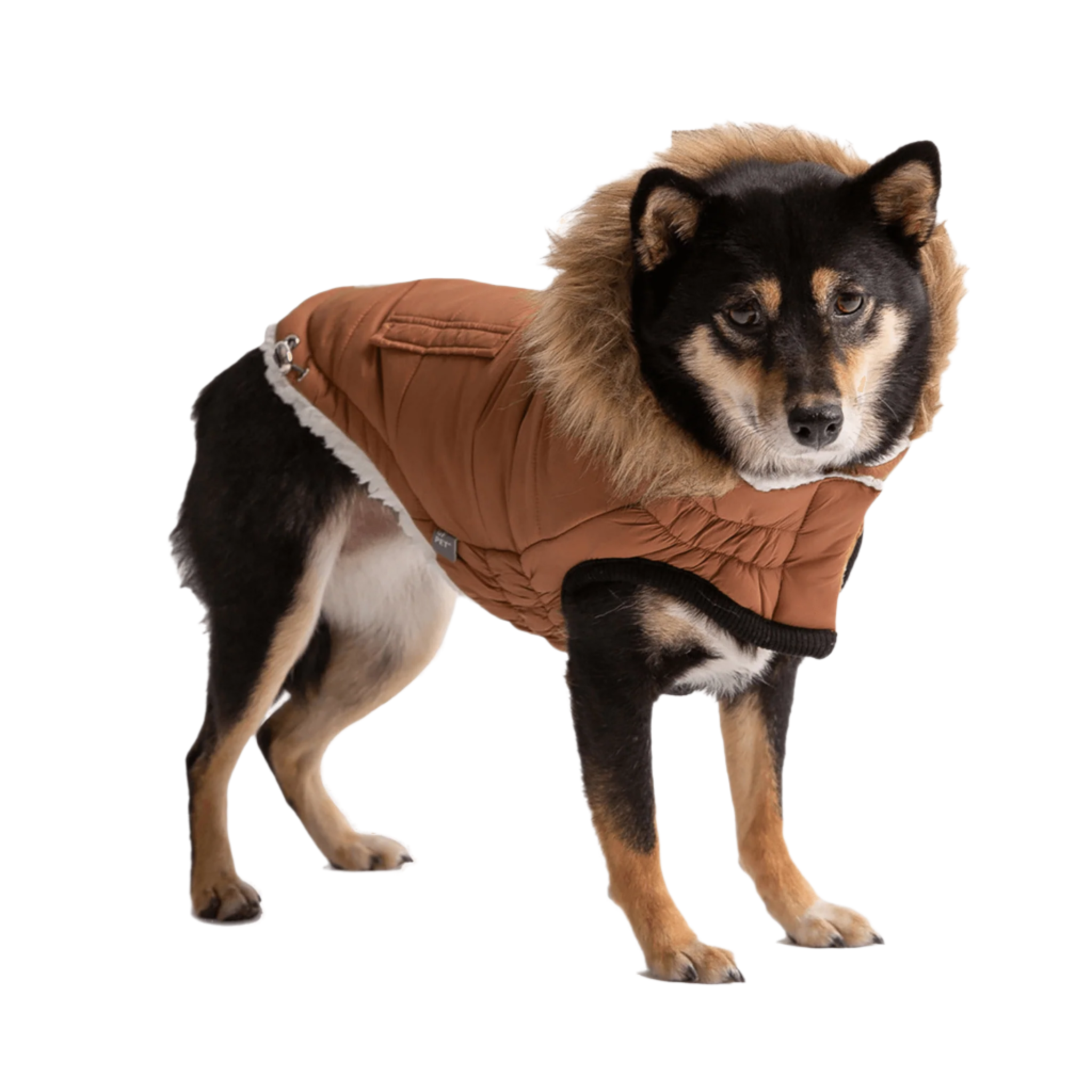 Pet ElastoFit Urban Dog Parka - My Best Pet Life, LLC