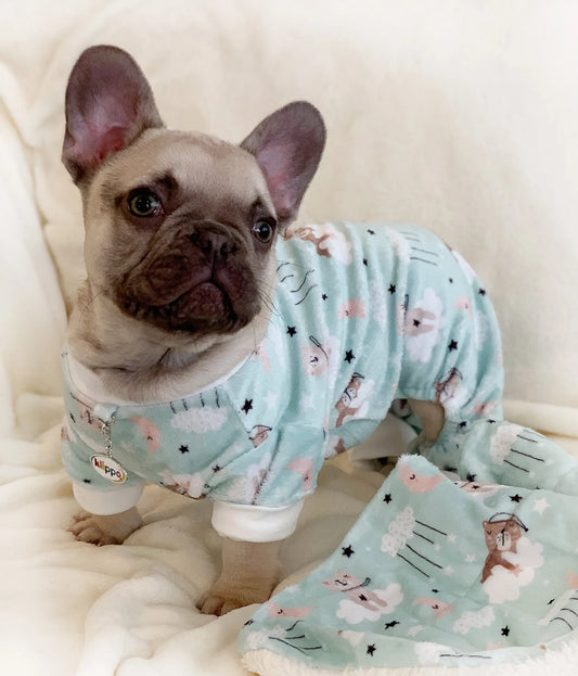 Ultra Soft Plush Minky Bedtime Bears Pajamas - My Best Pet Life, LLC