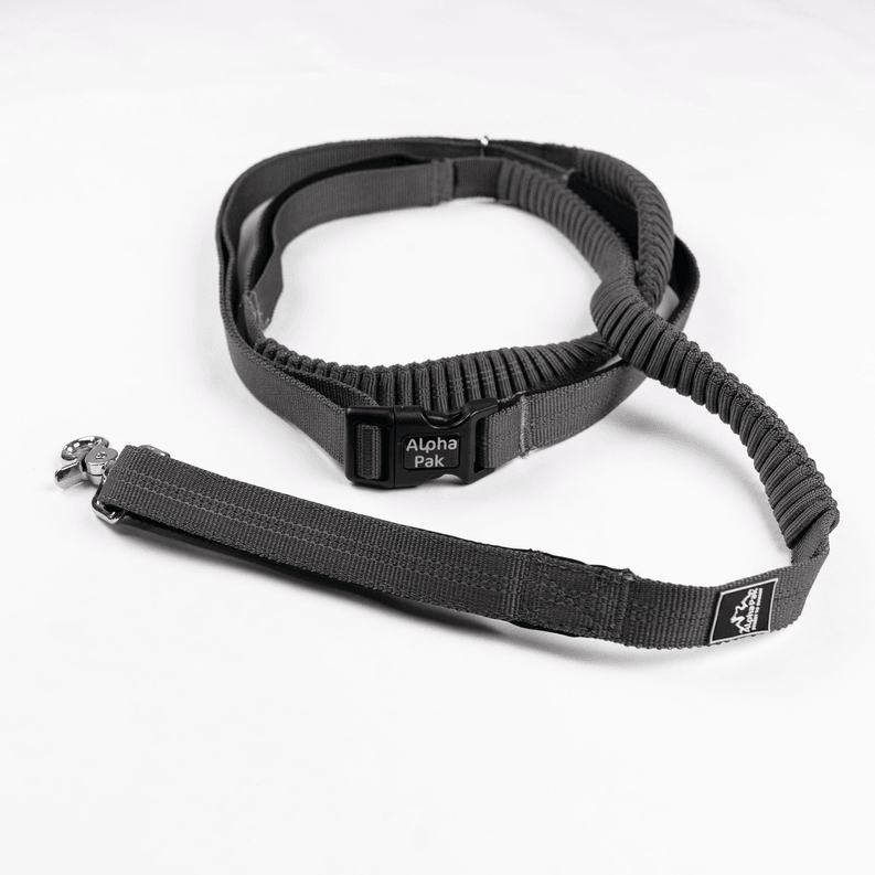 Cascades Graphite Stretchable Runner Dog Leash - My Best Pet Life