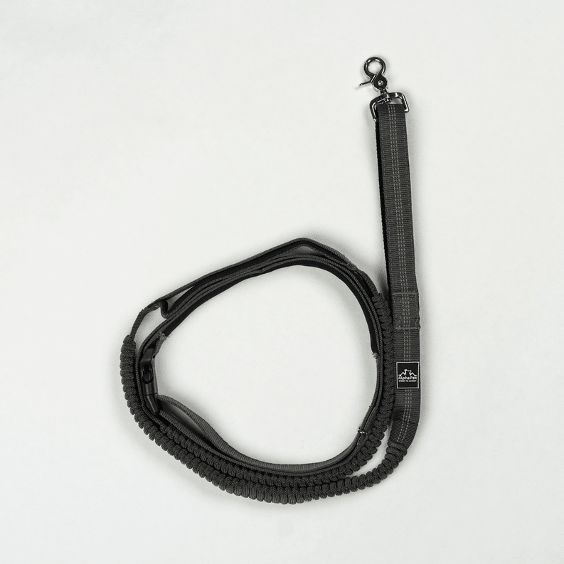 Cascades Graphite Stretchable Runner Dog Leash - My Best Pet Life