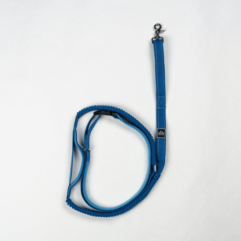 Cascades Metallic Blue Stretchable Runner Dog Leash - My Best Pet Life, LLC