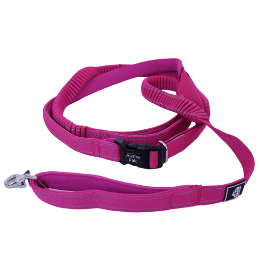 Cascades Plum Boysenberry Stretchable Runner Dog Leash - My Best Pet Life, LLC