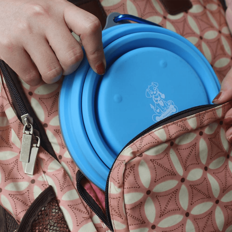 Collapsible Silicone Camping Bowl with Lid & Foldable Fork - My Best Pet Life, LLC