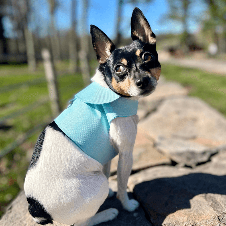 DCNY Harness Vest - My Best Pet Life, LLC