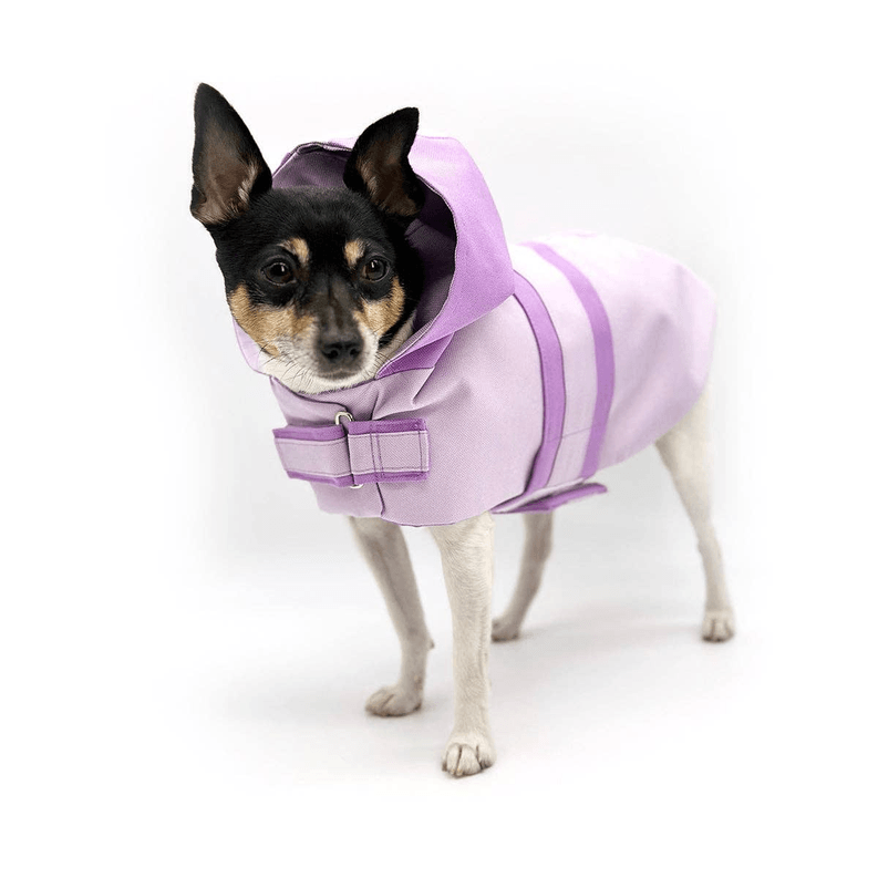 DCNY Sport Luxe Hooded Raincoat - My Best Pet Life, LLC