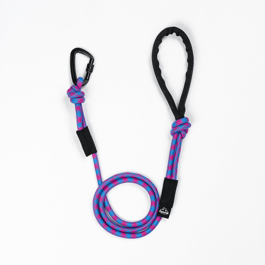 Elements Kernmantle Rope Leash - My Best Pet Life, LLC