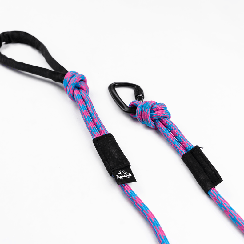 Elements Kernmantle Rope Leash - My Best Pet Life, LLC